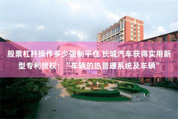 股票杠杆操作多少强制平仓 长城汽车获得实用新型专利授权：“车辆的热管理系统及车辆”