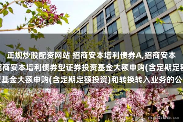 正规炒股配资网站 招商安本增利债券A,招商安本增利债券C: 关于暂停招商安本增利债券型证券投资基金大额申购(含定期定额投资)和转换转入业务的公告