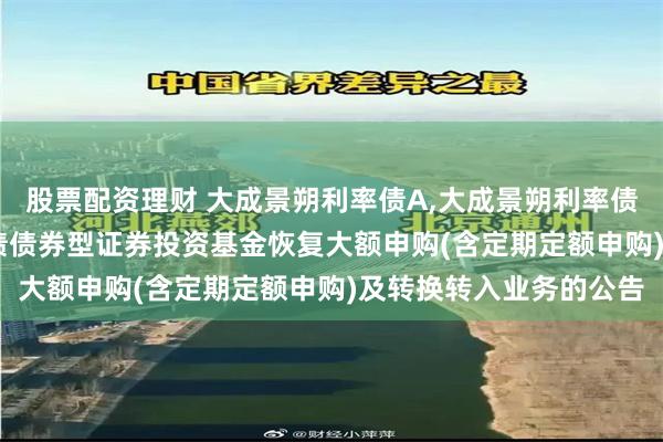 股票配资理财 大成景朔利率债A,大成景朔利率债C: 关于大成景朔利率债债券型证券投资基金恢复大额申购(含定期定额申购)及转换转入业务的公告