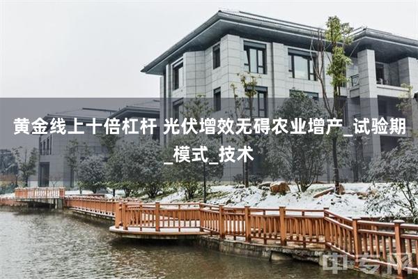 黄金线上十倍杠杆 光伏增效无碍农业增产_试验期_模式_技术