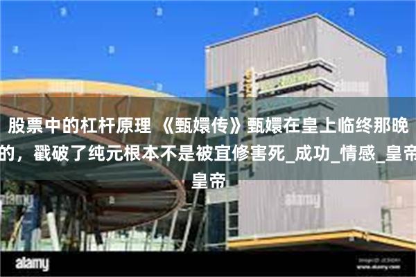 股票中的杠杆原理 《甄嬛传》甄嬛在皇上临终那晚的，戳破了纯元根本不是被宜修害死_成功_情感_皇帝