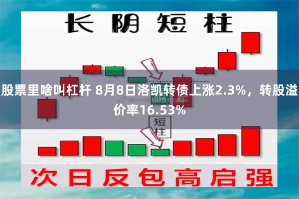 股票里啥叫杠杆 8月8日洛凯转债上涨2.3%，转股溢价率16.53%