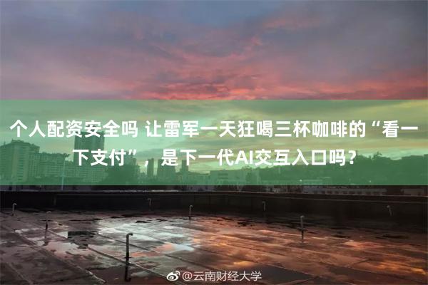 个人配资安全吗 让雷军一天狂喝三杯咖啡的“看一下支付”，是下一代AI交互入口吗？
